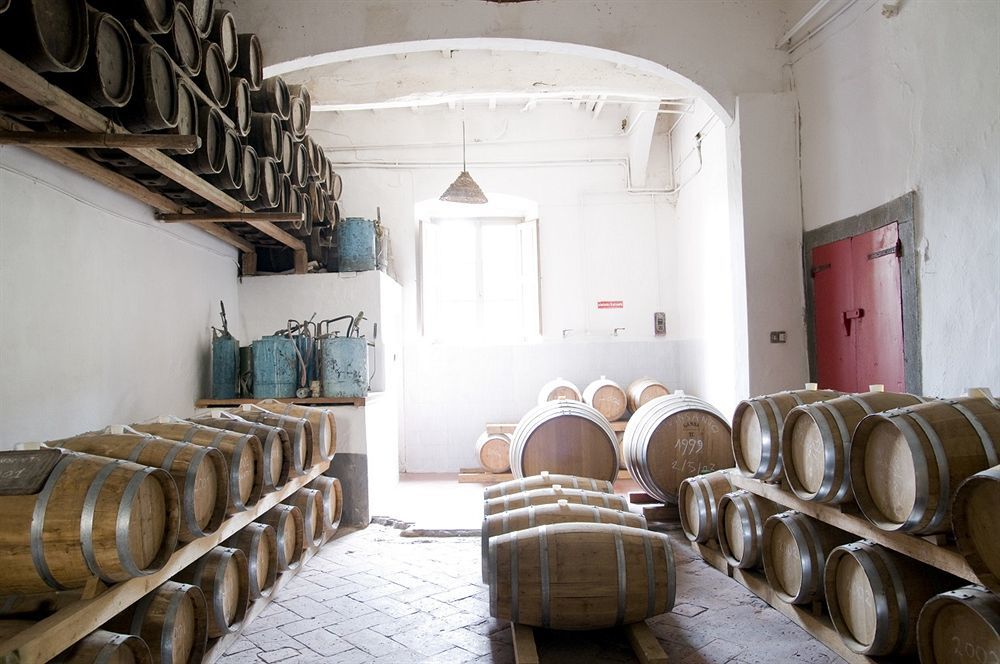 Fattoria Di Bacchereto - Guest House 外观 照片